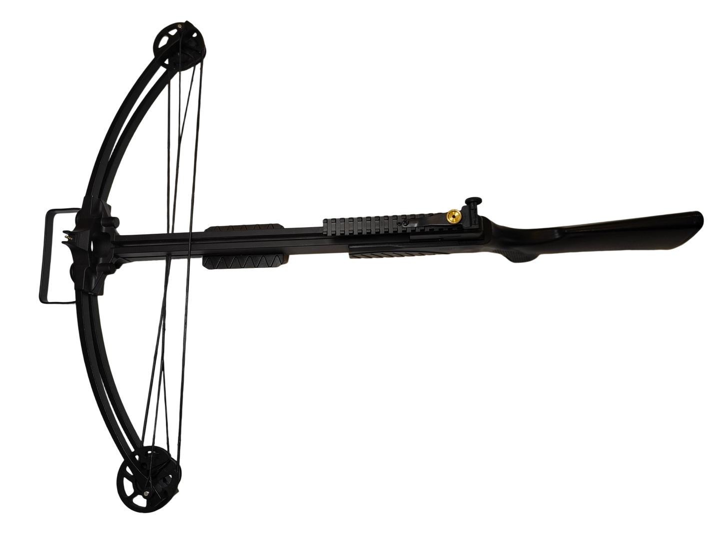 Poisonous scorpion 2 Compound Crossbow,235fps.