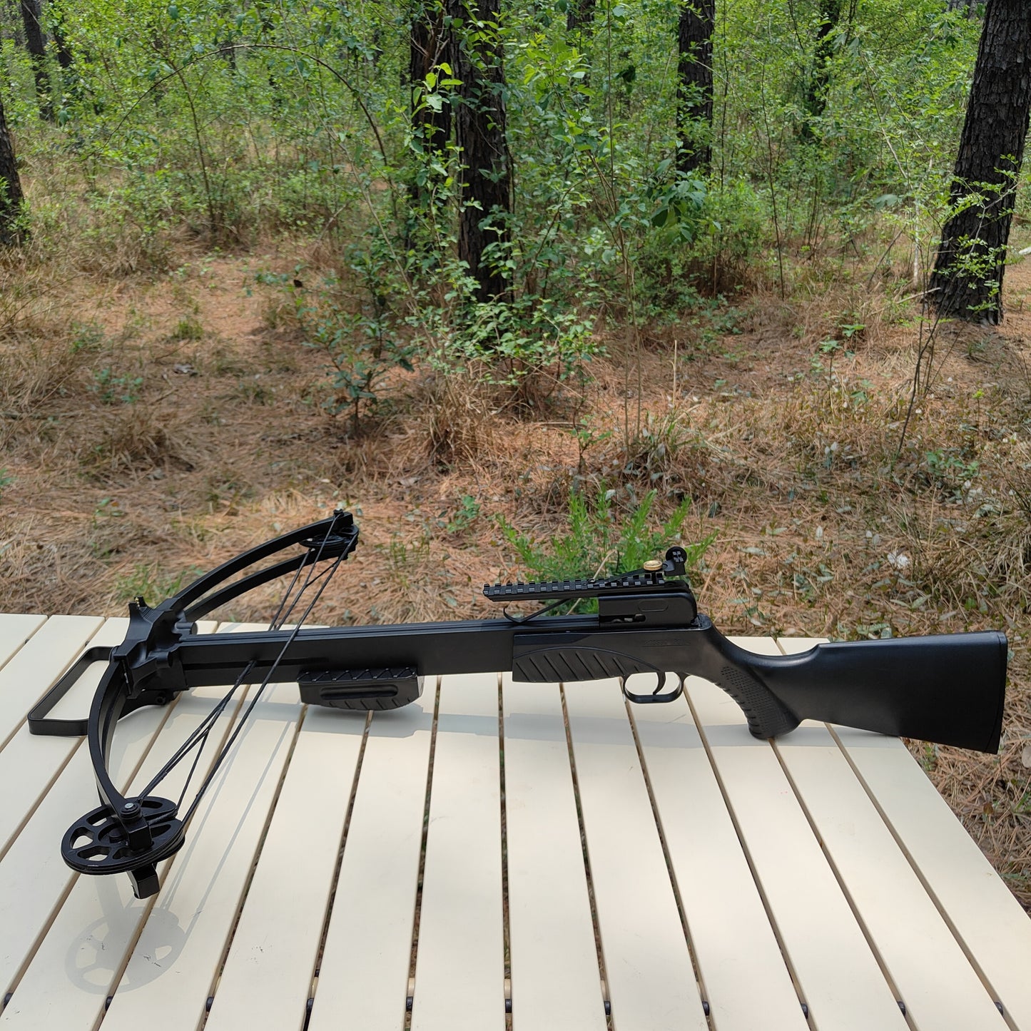 Poisonous scorpion 2 Compound Crossbow,235fps.