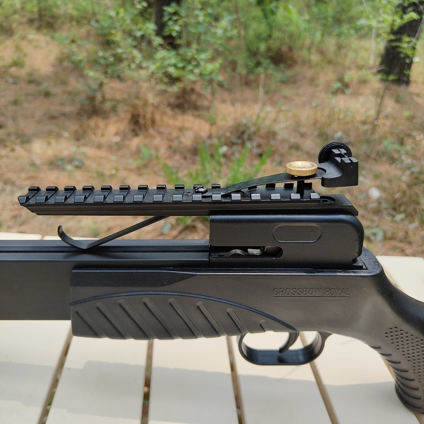 Poisonous scorpion 2 Compound Crossbow,235fps.