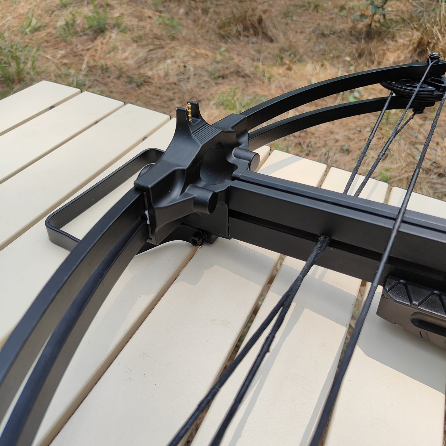 Poisonous scorpion 2 Compound Crossbow,235fps.