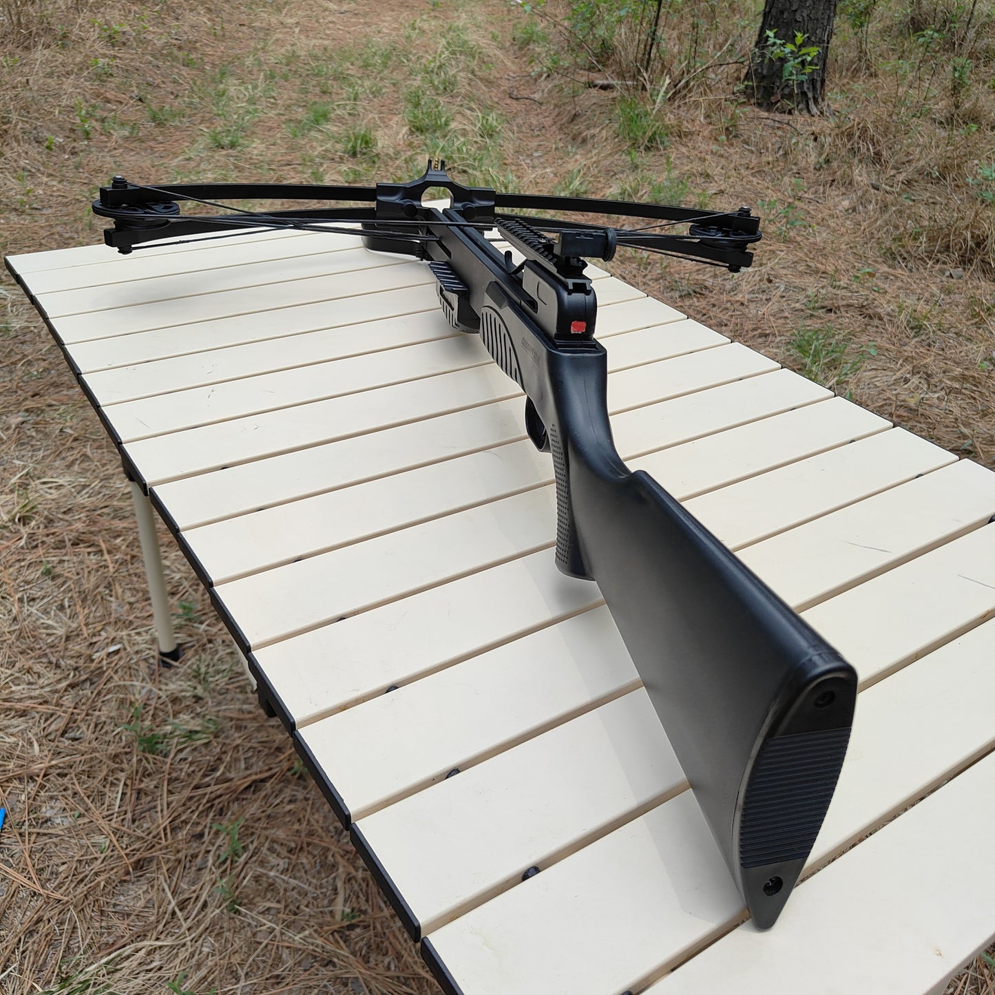 Poisonous scorpion 2 Compound Crossbow,235fps.