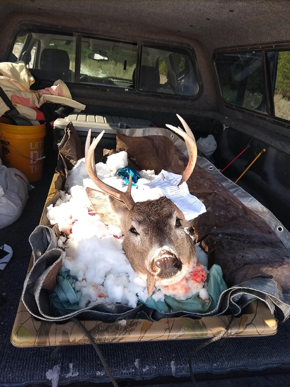 How to Keep Wild Game Clean in the Field