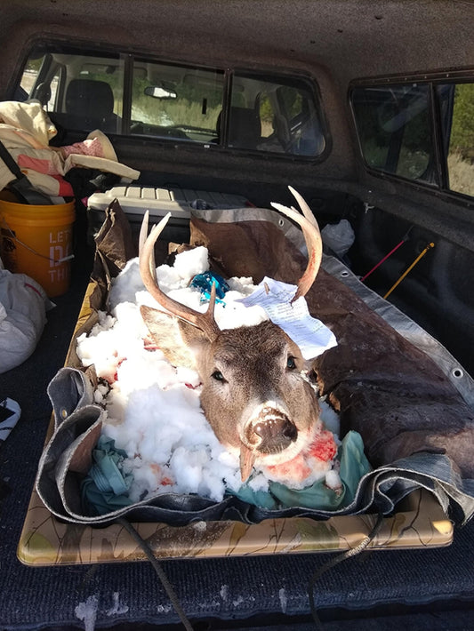 How to Keep Wild Game Clean in the Field