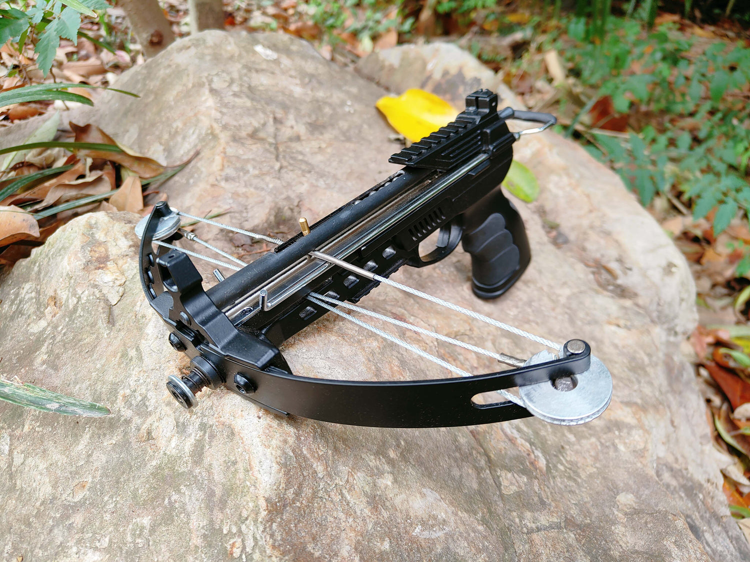 Small crossbow